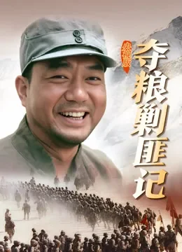 夺粮剿匪记央视版电视剧海报