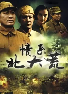 情系北大荒 电视剧海报
