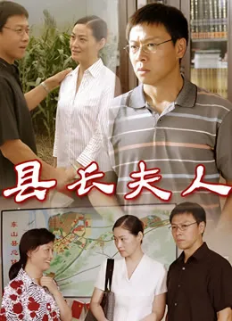 县长夫人电视剧海报