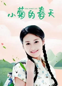 小菊的春天电视剧海报