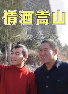 情洒嵩山电视剧海报