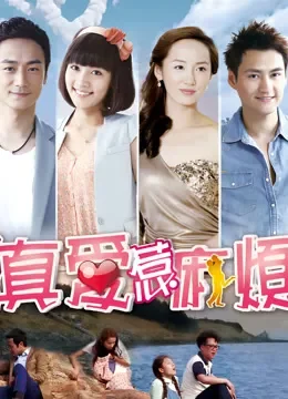 真爱惹麻烦TV版电视剧海报