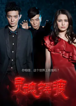 灵魂摆渡电视剧海报