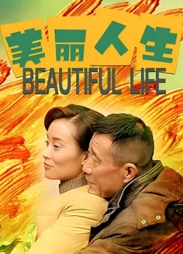美丽人生内地版电视剧海报