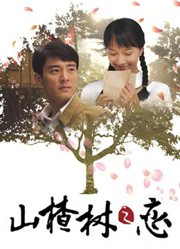 山楂树之恋