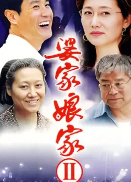婆家娘家2电视剧海报