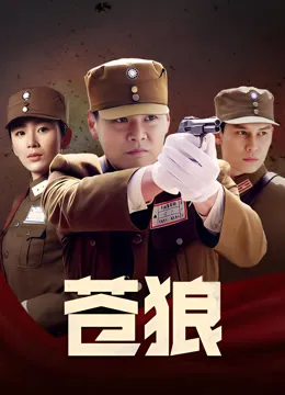 苍狼电视剧海报
