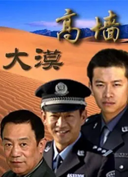 大漠高墙电视剧海报