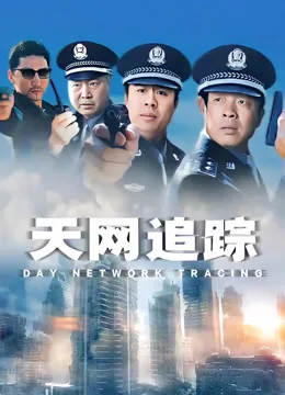 天网追踪电视剧海报