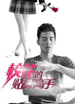 校花的贴身高手电视剧海报