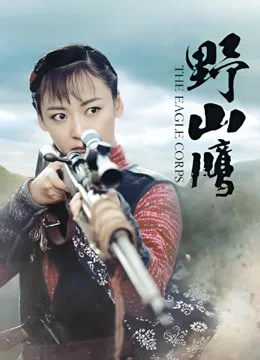 野山鹰电视剧海报