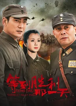 等到胜利那一天电视剧海报