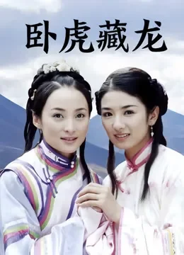 卧虎藏龙电视剧海报