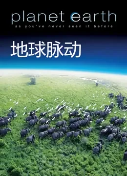 地球脉动电视剧海报