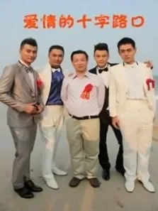 爱情的十字路口DVD版电视剧海报