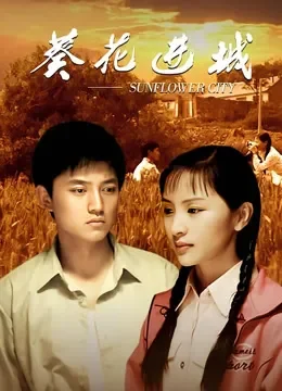 葵花进城电视剧海报