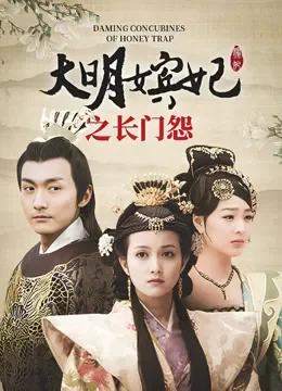 大明嫔妃之长门怨电视剧海报