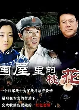 围屋里的桃花电视剧海报