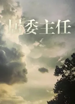 居委主任电视剧海报