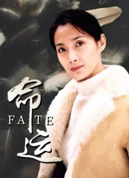 命运（2002）电视剧海报