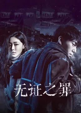 无证之罪电视剧海报