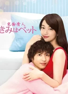 宠物情人电视剧海报