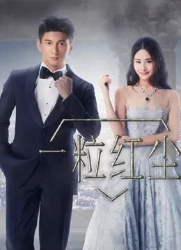 一粒红尘TV版电视剧海报
