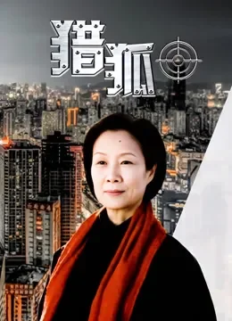 猎狐（2012）电视剧海报