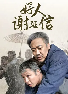 好人谢延信电视剧海报