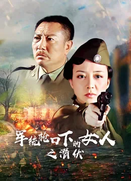 军统枪口下的女人之潜伏电视剧海报