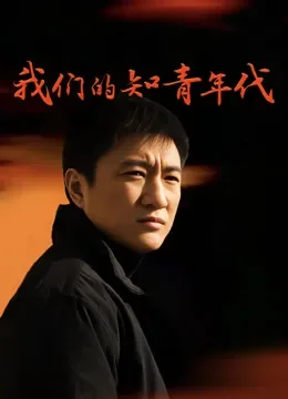 我们的知青年代电视剧海报