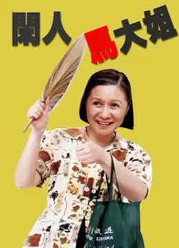 闲人马大姐电视剧海报