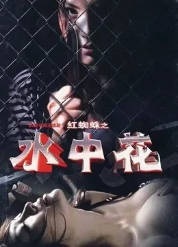水中花电视剧海报