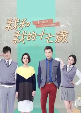 我和我的十七岁电视剧海报