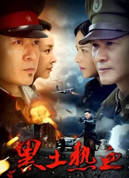 黑土热血电视剧海报