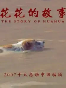 花花的故事电视剧海报