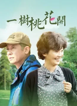 一树桃花开电视剧海报