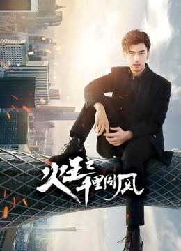 火王之千里同风TV版