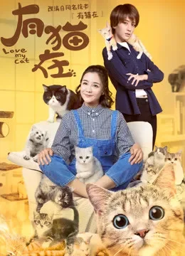 有猫在电视剧海报