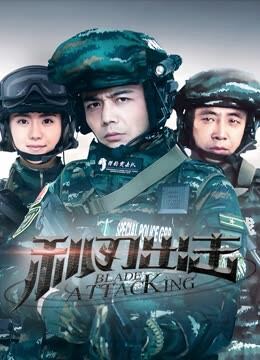 利刃出击TV版