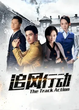 追风行动电视剧海报