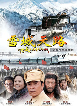 雪域天路DVD版
