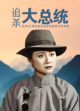 追杀大总统电视剧海报
