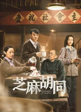 芝麻胡同电视剧海报