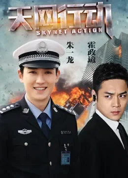 天网行动电视剧海报