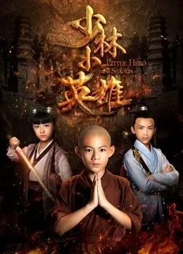 少林小英雄电视剧海报