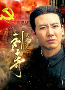 共产党人刘少奇电视剧海报