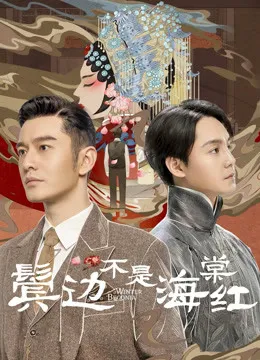 鬓边不是海棠红电视剧海报