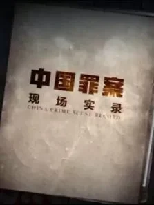 罪案现场实录电视剧海报