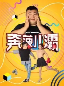 奔菠儿灞电视剧海报